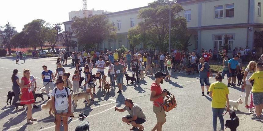 Revija udomljenih pasa Revija udomljenih pasa