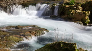 OLYMPUS DIGITAL CAMERA OLYMPUS DIGITAL CAMERA