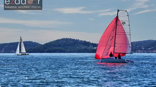Zadarska koka 2017. Zadarska koka 2017.