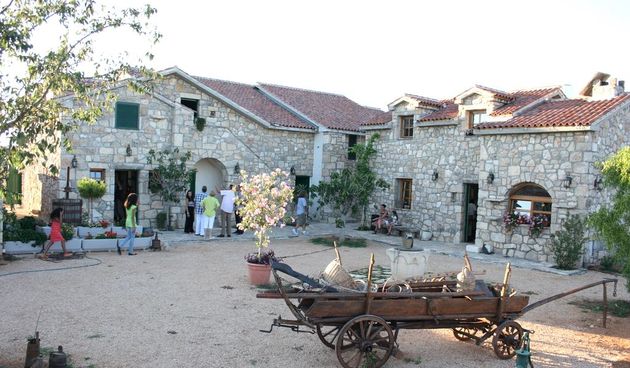 Kuca dalmatinskog prsuta