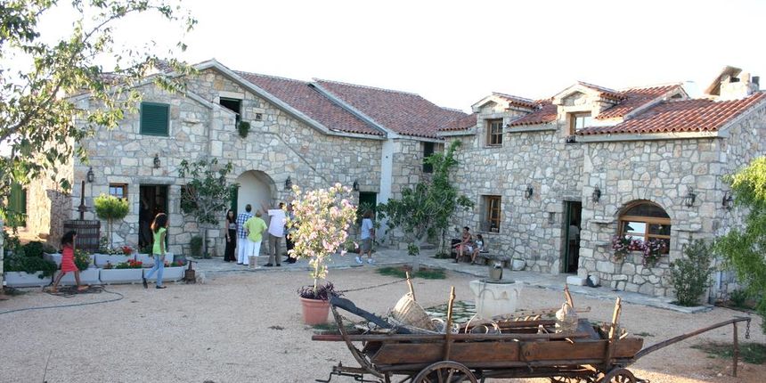 Kuca dalmatinskog prsuta