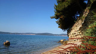 Jutarnji đir Puta Bajlom, foto: Iva Perinčić