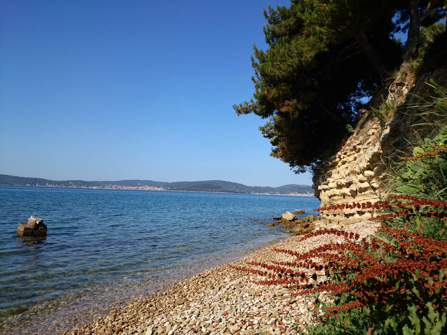 Jutarnji đir Puta Bajlom, foto: Iva Perinčić