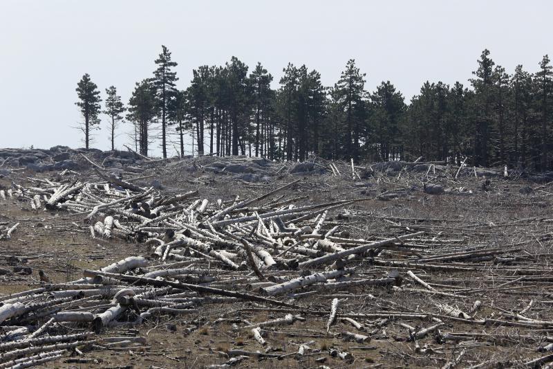 16.03.2014., Juzni Velebit – Topljenje snijega na Juznom Velebitu i procvjetani prvi planinski cvjetovi u ranom proljecu najavljuju skorasnje toplije vrijeme. Photo: Filip Brala/PIXSELL Autor Filip Brala/PIXSELL Ključne riječi rekreacija, planina, pro 16.03.2014., Juzni Velebit – Topljenje snijega na Juznom Velebitu i procvjetani prvi planinski cvjetovi u ranom proljecu najavljuju skorasnje toplije vrijeme. Photo: Filip Brala/PIXSELL Autor Filip Brala/PIXSELL Ključne riječi rekreacija, planina, pro