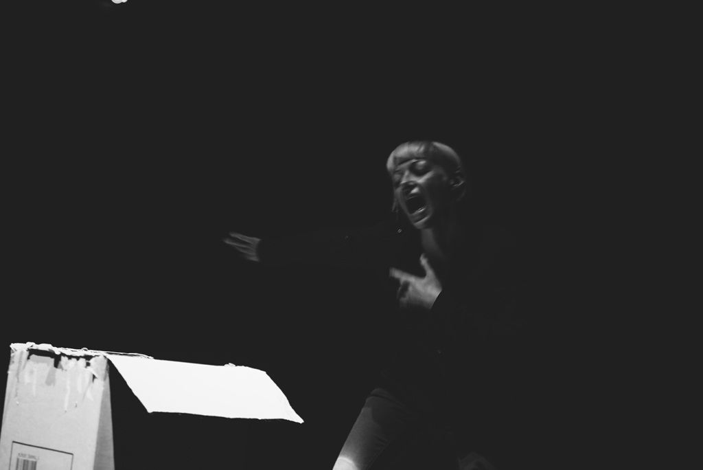 “Ana i Ona” naziv je predstave čijom je premijerom sinoć u zadarskom Kazalištu lutaka započela umjetnička revija pod nazivom “Nosi se Teatro Verrdi”.