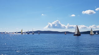 Zadarska Koka 2016. 22. listopada 2016. Foto: Mladen Malik Zadarska Koka 2016. 22. listopada 2016. Foto: Mladen Malik