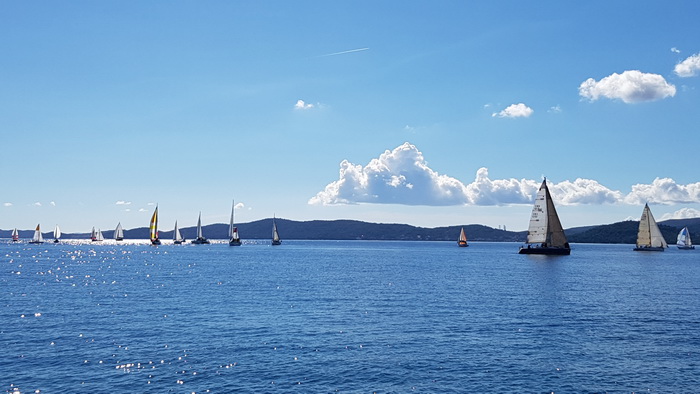 Zadarska Koka 2016. 22. listopada 2016. Foto: Mladen Malik Zadarska Koka 2016. 22. listopada 2016. Foto: Mladen Malik