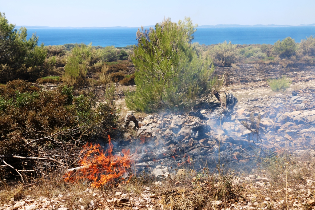 Vir: Požar u Lozicama u potpunosti ugašen Vir: Požar u Lozicama u potpunosti ugašen