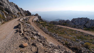 OLYMPUS DIGITAL CAMERA OLYMPUS DIGITAL CAMERA