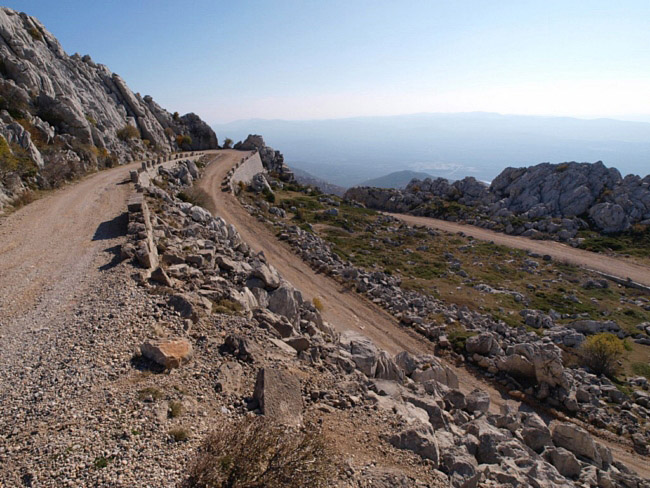 OLYMPUS DIGITAL CAMERA OLYMPUS DIGITAL CAMERA