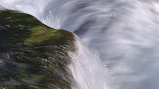 Ugodno prijepodne uz tok rijeke Karešnice i stare zapuštene mlinove, foto: Darko Belančić