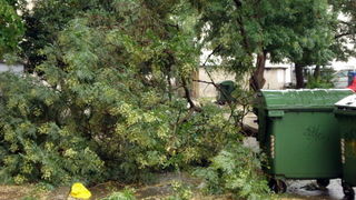 18.7.2009. Posljedice nevremena u ul. F. Tudjmana i B.J.Jelacica u Zadru 18.7.2009. Posljedice nevremena u ul. F. Tudjmana i B.J.Jelacica u Zadru