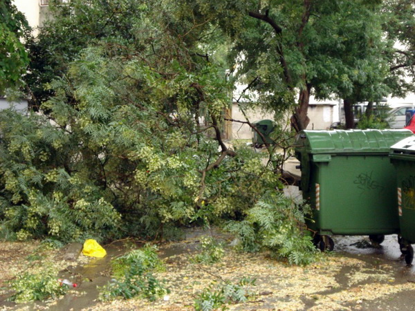 18.7.2009. Posljedice nevremena u ul. F. Tudjmana i B.J.Jelacica u Zadru 18.7.2009. Posljedice nevremena u ul. F. Tudjmana i B.J.Jelacica u Zadru
