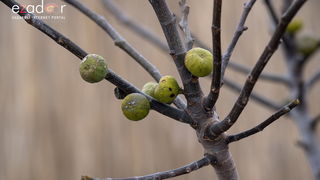 Zimska idila u Parku prirode Vransko jezero Zimska idila u Parku prirode Vransko jezero