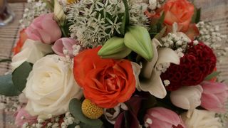 Sv. Filip i Jakov – 10. Dani cvijeća, 24. i 25. travnja 2010. (Foto: Vedran Penga)