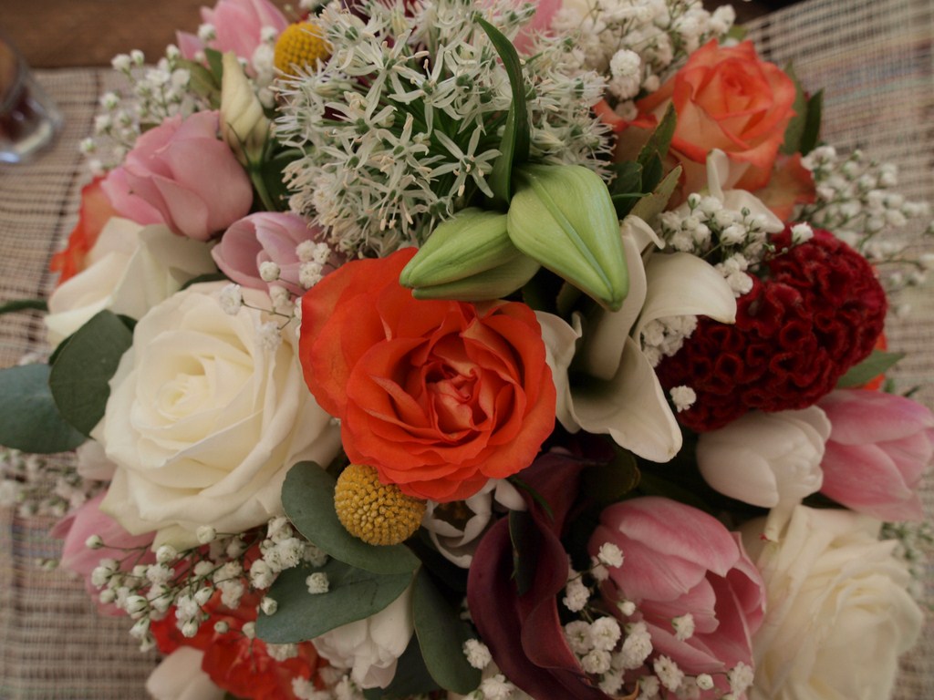 Sv. Filip i Jakov – 10. Dani cvijeća, 24. i 25. travnja 2010. (Foto: Vedran Penga)