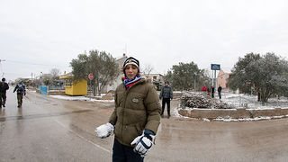 Snijeg u Bibinjama 3. veljače 2012, Foto: Leo Banić