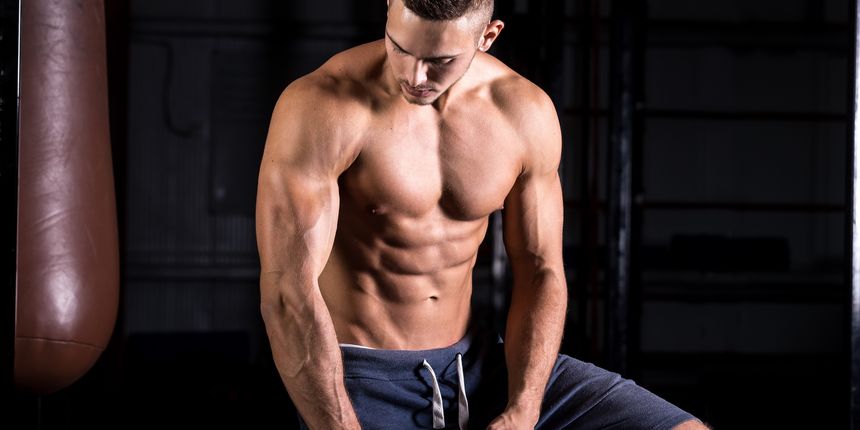 Trbušnjaci, trbušni mišići