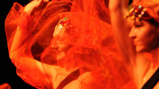 Zadar, 12.5.2012. snimio: Nenad Marčev
1. Zadarski plesni festival
(In memoriam Nives Šimatović-Predovan)
Dvorana Kazališta lutaka Zadar Zadar, 12.5.2012. snimio: Nenad Marčev
1. Zadarski plesni festival
(In memoriam Nives Šimatović-Predovan)
Dvorana Kazališta lutaka Zadar