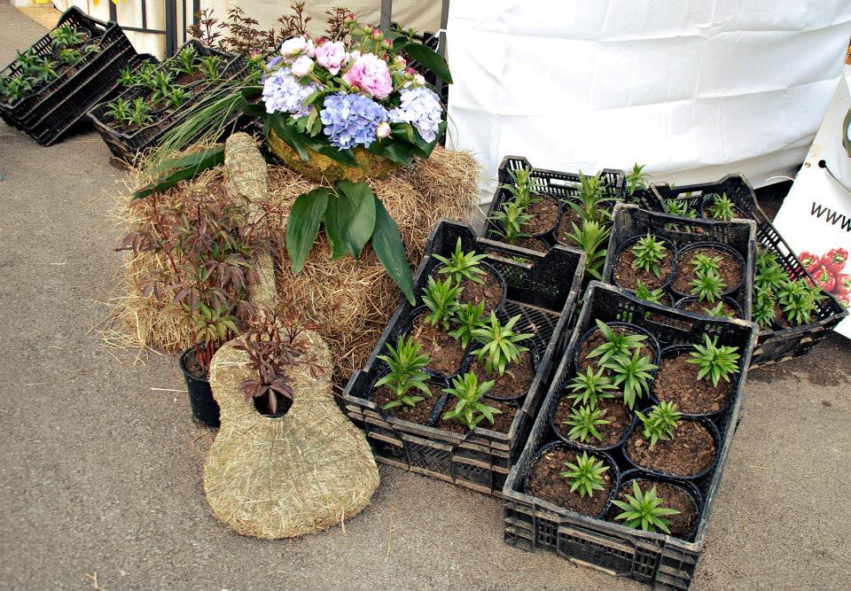 Dani cvijeća, foto-TANJA BELIĆ