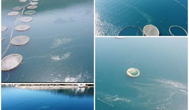 Oneciscenje mora, Ravski kanal II