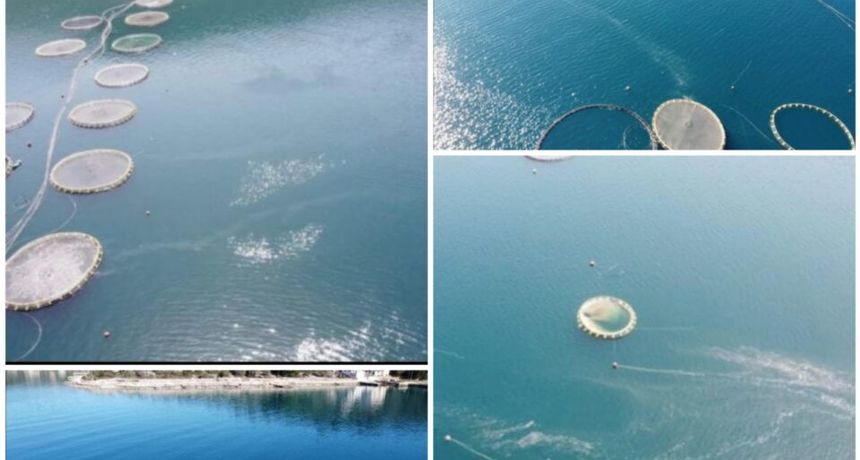 Oneciscenje mora, Ravski kanal II Oneciscenje mora, Ravski kanal II