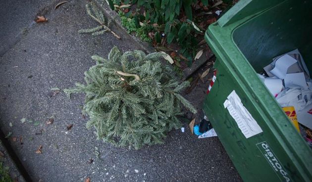 05.01.2014., Zagreb – Bozicni i novogodisnji blagdani su iza nas te je gradjanstvo polako pocelo bacati iskoristene bozicne jelke i borove. Photo: Nina Djurdjevic/PIXSELL