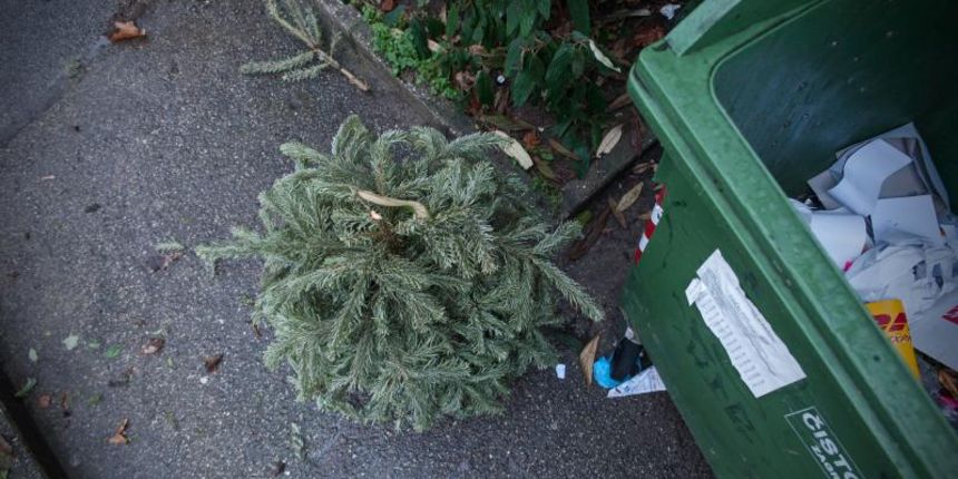 05.01.2014., Zagreb – Bozicni i novogodisnji blagdani su iza nas te je gradjanstvo polako pocelo bacati iskoristene bozicne jelke i borove. Photo: Nina Djurdjevic/PIXSELL 05.01.2014., Zagreb – Bozicni i novogodisnji blagdani su iza nas te je gradjanstvo polako pocelo bacati iskoristene bozicne jelke i borove. Photo: Nina Djurdjevic/PIXSELL