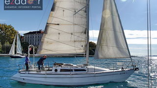 Zadarska koka 2017. Zadarska koka 2017.