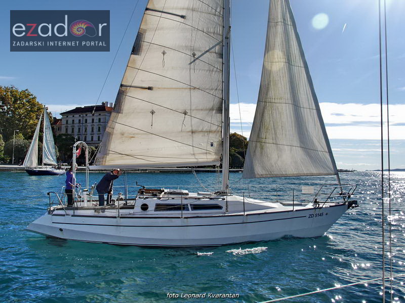 Zadarska koka 2017. Zadarska koka 2017.