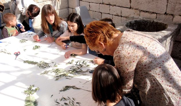 Radionica pletenja maslinovih grančica, foto: Karla Šorić