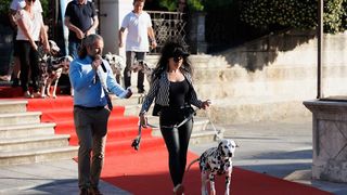 Red Carpet Dalmatian Walk @Trg pet bunara Red Carpet Dalmatian Walk @Trg pet bunara