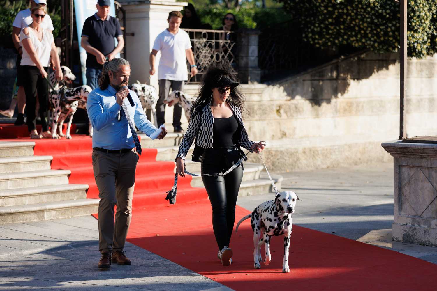 Red Carpet Dalmatian Walk @Trg pet bunara Red Carpet Dalmatian Walk @Trg pet bunara