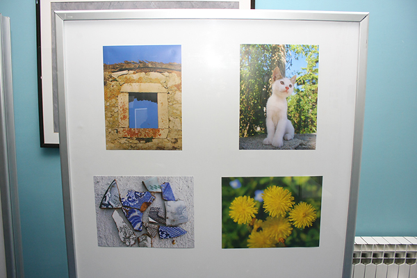 Izložba fotografija Vedrana Penge