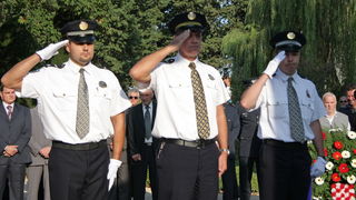 Image 1054163 (auto)