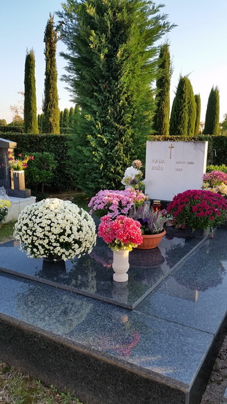 Uoči blagdana Svih svetih brojni su Zadrani posjetili Gradsko groblje i uredili počivališta najmilijih i okitili ih cvijećem, Foto: M. Malik Uoči blagdana Svih svetih brojni su Zadrani posjetili Gradsko groblje i uredili počivališta najmilijih i okitili ih cvijećem, Foto: M. Malik