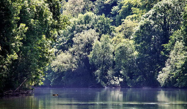 Odmor za dušu u ljepoti prirode by L. Kvarantan