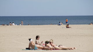 Valencia, 18.3.2008.