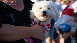 Veličanstven doček četvorice zadarskih Vatrenih Veličanstven doček četvorice zadarskih Vatrenih