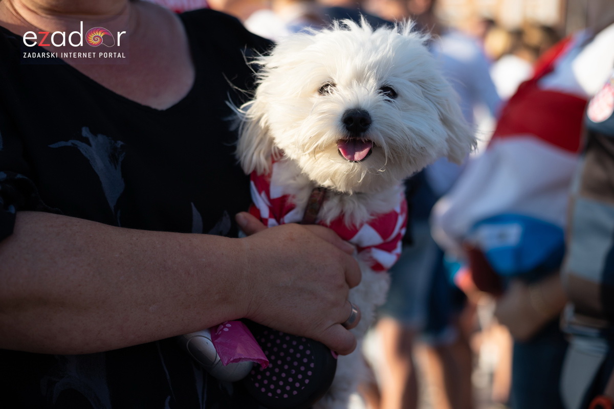Veličanstven doček četvorice zadarskih Vatrenih Veličanstven doček četvorice zadarskih Vatrenih