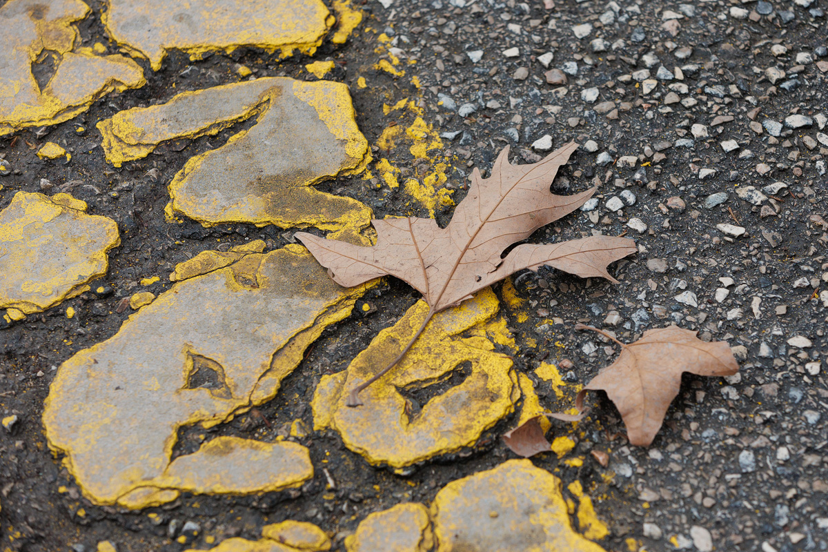 Đir po gradu, 27. siječnja 2025. Đir po gradu, 27. siječnja 2025.