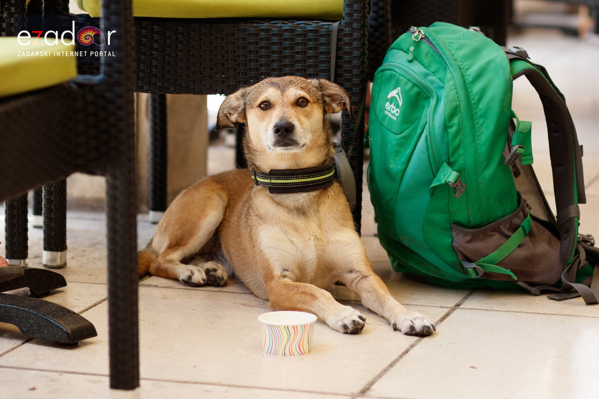 Đir po gradu, petak 28. lipnja 2019. Đir po gradu, petak 28. lipnja 2019.
