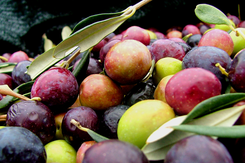 Image 1191199 (auto)