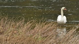 Skradinski buk – Jesenska idila u Nacionalnom parku Krka. Photo: Hrvoje Jelavic/PIXSELL Skradinski buk – Jesenska idila u Nacionalnom parku Krka. Photo: Hrvoje Jelavic/PIXSELL
