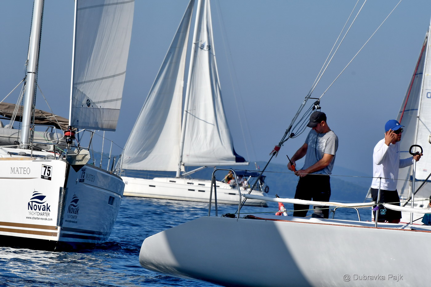 Sva lica “Zadarske koke” Sva lica “Zadarske koke”