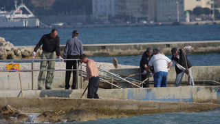 Vitrenjak: Akcija čišćenja plaže za invalide