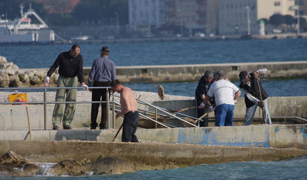 Vitrenjak: Akcija čišćenja plaže za invalide