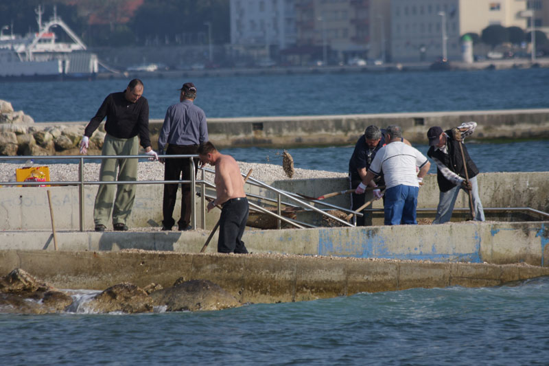 Vitrenjak: Akcija čišćenja plaže za invalide