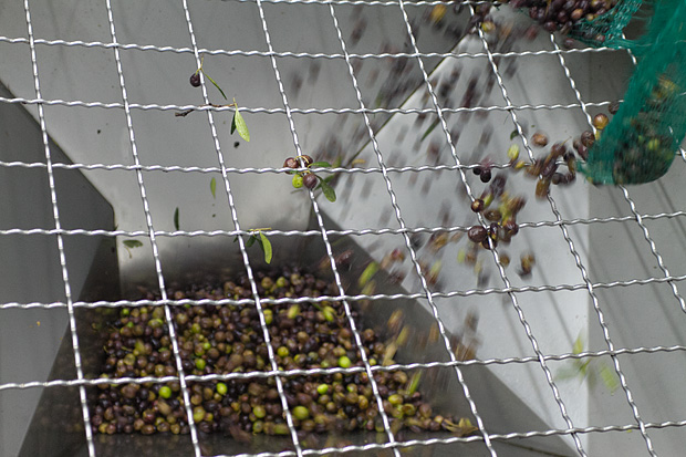 Večer u uljari, Foto: Leo Banić