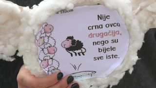 Virski Karnevalić 2017.